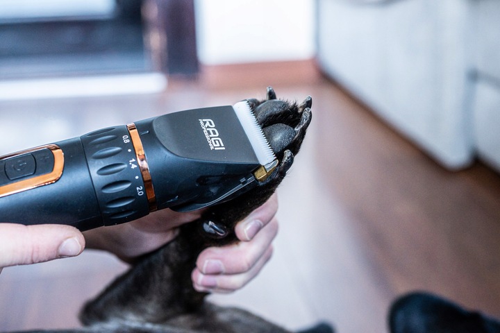 MASZYNKA DO STRZYŻENIA PSÓW PSA KOTA RAGI PROFESJONALNA CICHA BEZPRZEWODOWA