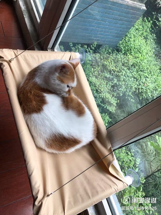 Hamak dla kota do okna – legowisko 55×35, idealne do obserwacji