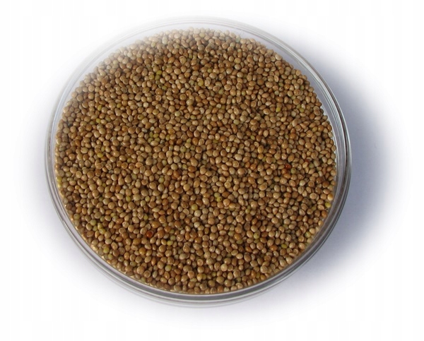 Proso żółte 25 kg