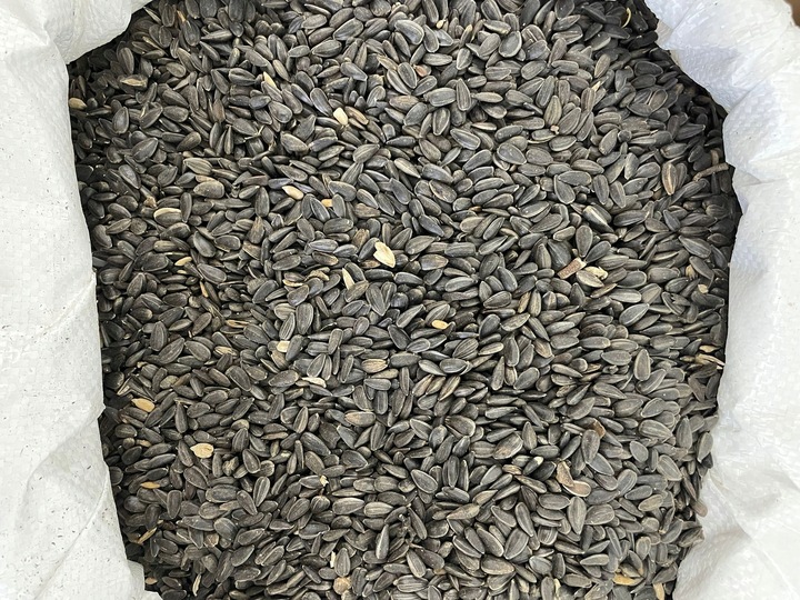 Czarny Słonecznik Ziarna Karma PREMIUM Dla Ptaków I Gołębi 10 kg