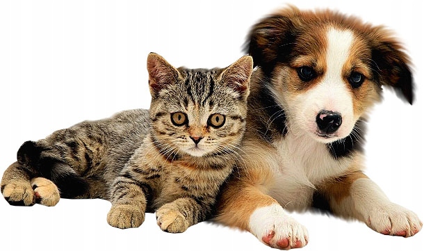 Pasta odkłaczająca GIMPET MALT SOFT EXTRA 200g