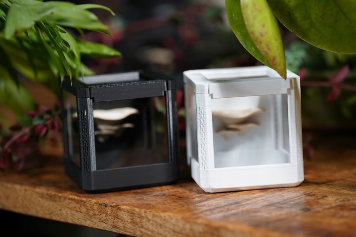 Terrarium szklane -6,5 x 6,5 x 6,5 dla pająka, modliszki, skakuna