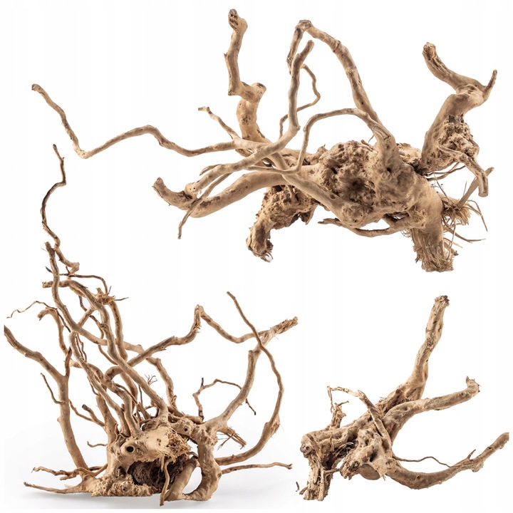 KORZEŃ DO AKWARIUM Red Moor Wood M 30cm OKAZY PREMIUM