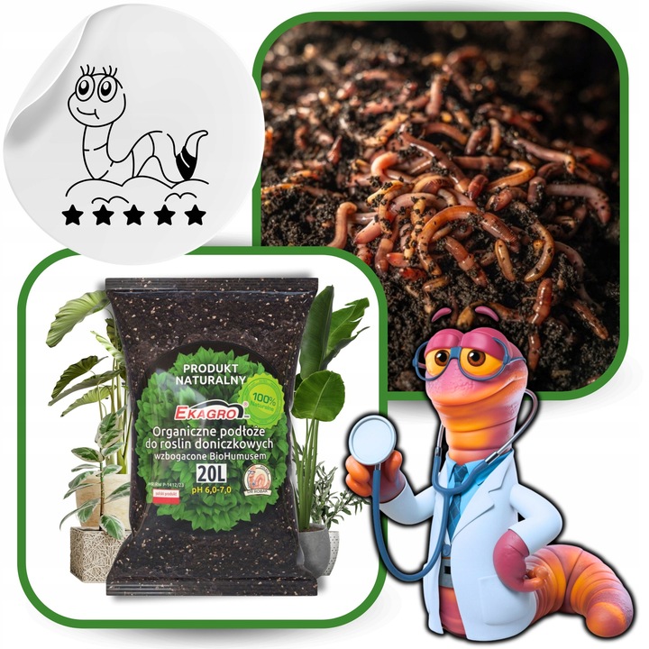 Ziemia Podłoże do Roślin 20L Doniczkowych Zielonych Kwiatów z humusem