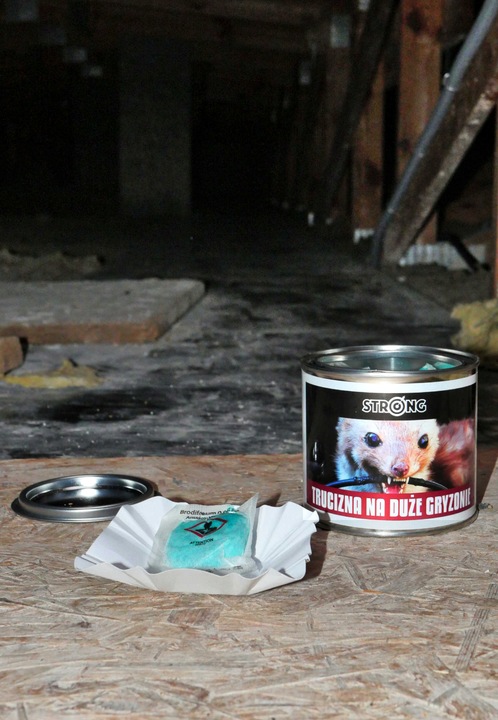 NAJMOCNIEJSZA TRUCIZNA NA DUŻE GRYZONIE STRONG