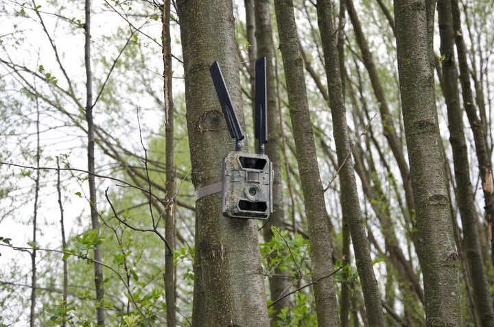 Kamera Leśna FOTOPUŁAPKA Myśliwska FHD GSM 4G LTE MMS wysyła FILMY