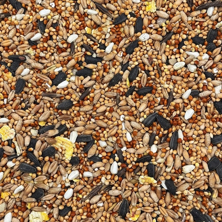 MIX DLA PAPUG FALISTYCH i ŚREDNICH Karma 20kg Nimfa Rozella STANDARD Champi