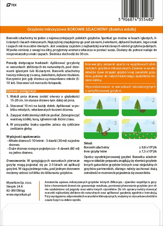BOROWIK SZLACHETNY grzybnia mikoryzowa