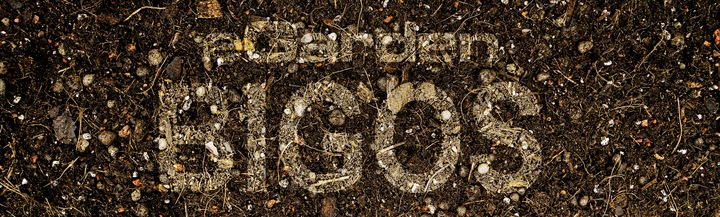 Podłoże BIGOS Lekka Ziemia do Monster i Filodendronów 20 L eGarden