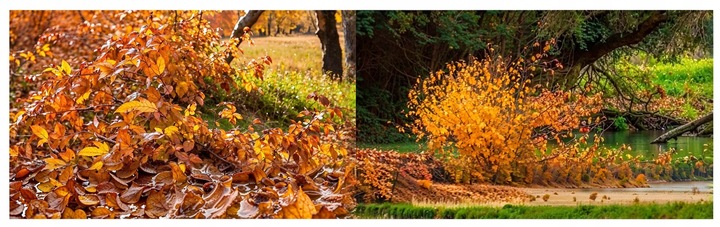 DMUCHAWA SPALINOWA OGRODOWA ODKURZACZ DO LIŚCI ŚNIEGU