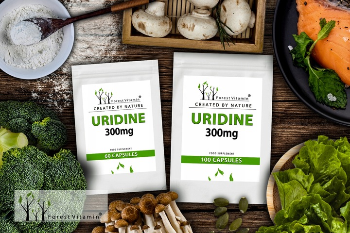 FOREST URYDYNA UMP 100 kaps ALZHEIMER MÓZG