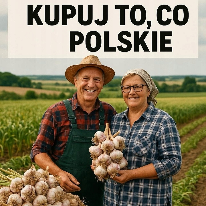 Czosnek Polski Harnaś zimowy 500g duże ząbki z własnej uprawy zdrowy