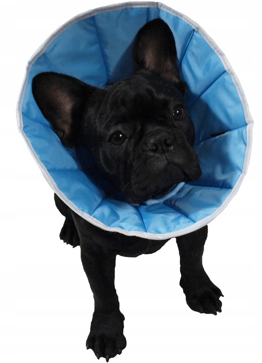 MIĘKKI KOŁNIERZ POZABIEGOWY Z TKANINY PIES KOT 3XL