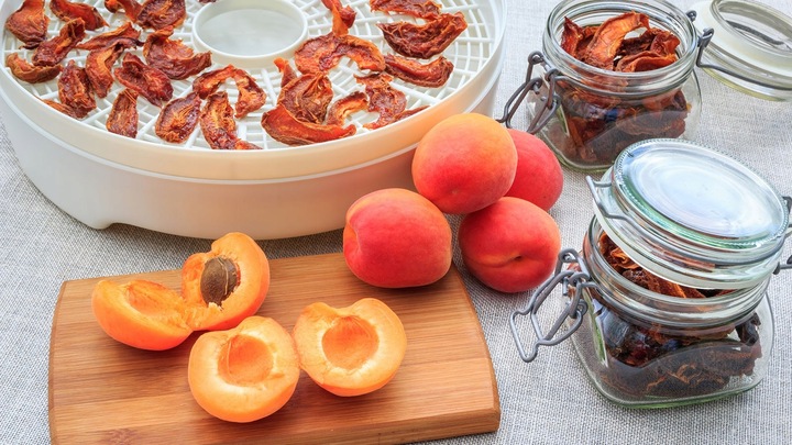 Suszarka do grzybów owoców warzyw spożywcza MPM MSG-03