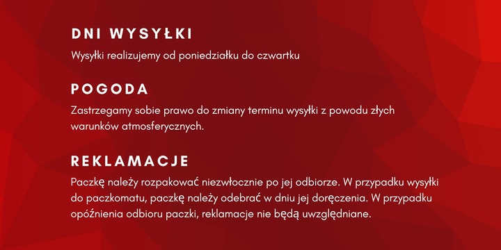 Karaczan argentyński Dubia 2-3 cm 100 szt.