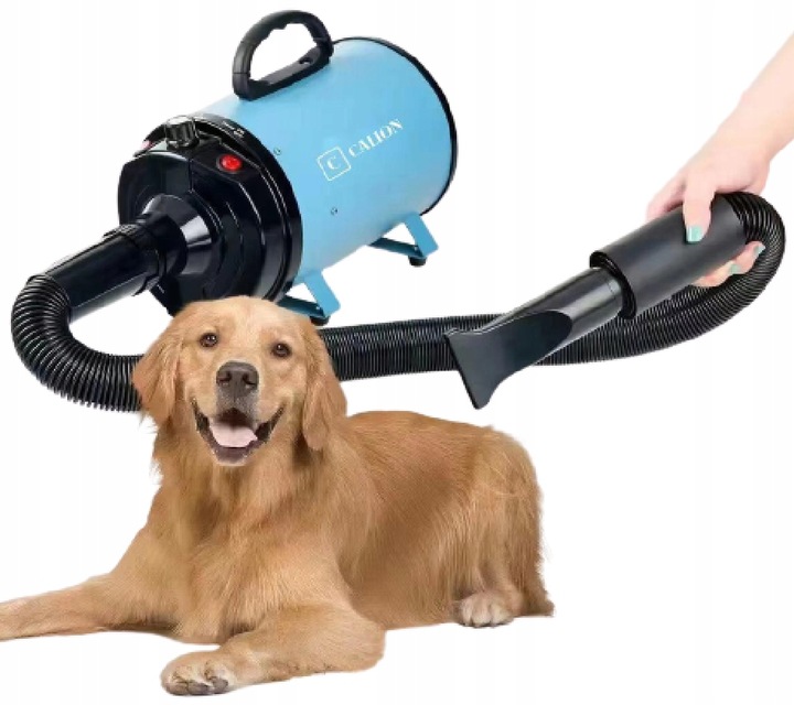 Suszarka do sierści dla psa i kota