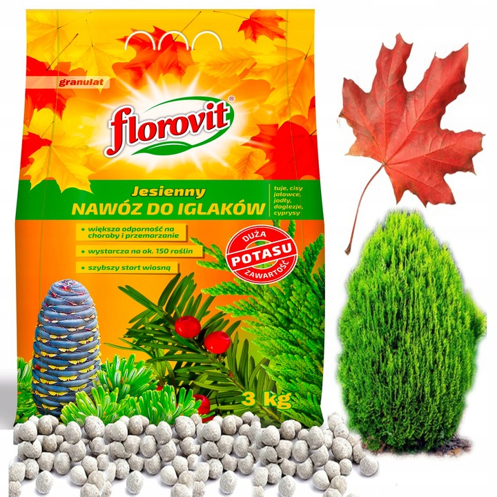 FLOROVIT JESIENNY NAWÓZ DO TUI THUI IGLAKÓW CISÓW JODEŁ DUŻO POTASU 3