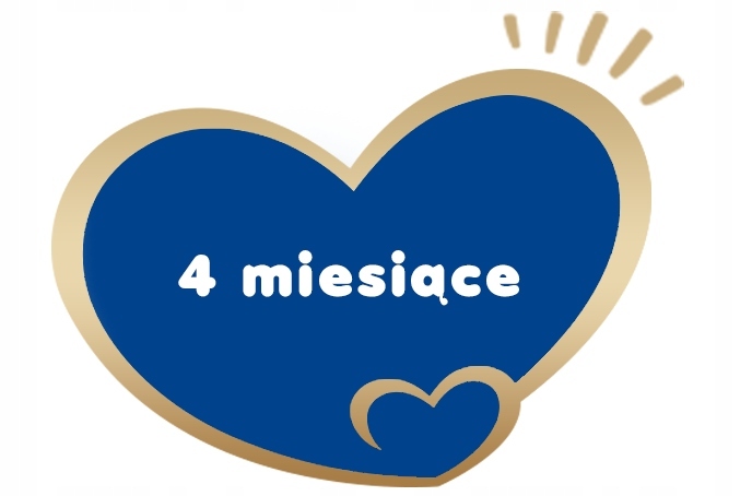 BEBIKO PRO+ 1 MLEKO POCZĄTKOWE 0-6m 700g