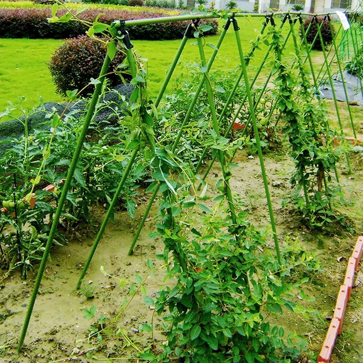 Podpora z siatką do ogórków i pomidorów 180 cm - Stelaż do roślin pnących