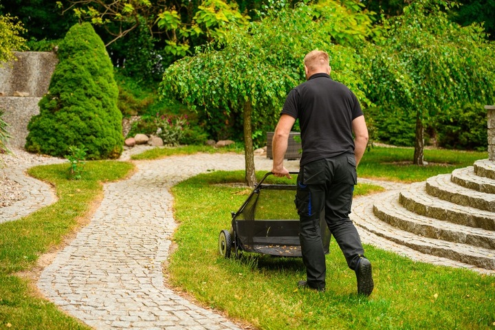 CEDRUS SP31110 ZBIERACZ ZAMIATARKA DO TRAWY LIŚCI Z KOSZEM 66cm