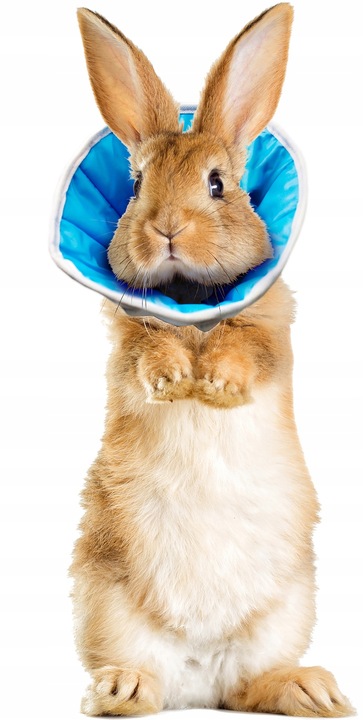 MIĘKKI KOŁNIERZ POZABIEGOWY Z TKANINY PIES KOT 3XL