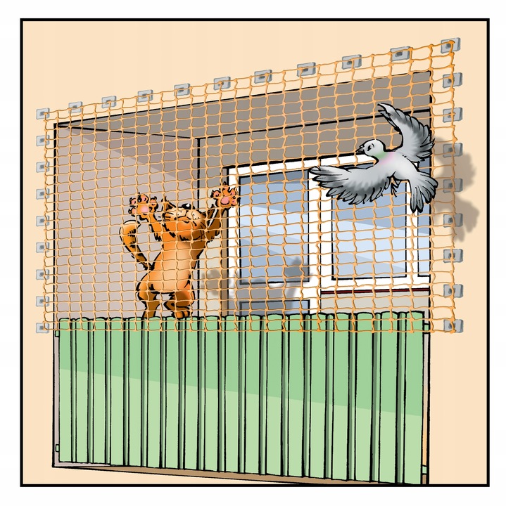 SIATKA NA BALKON GOŁĘBIE PTAKI DLA KOTA PRZECIW PTAKOM OKO 50mm ROZMIAR 6X2