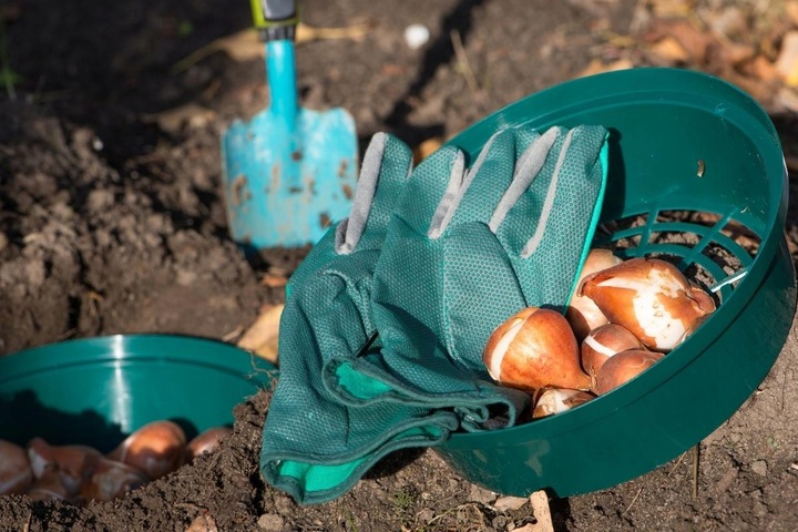 Koszyczek Do Sadzenia Cebulek Osłonka Na Cebulki Bulwy 22cm Koszyk 10