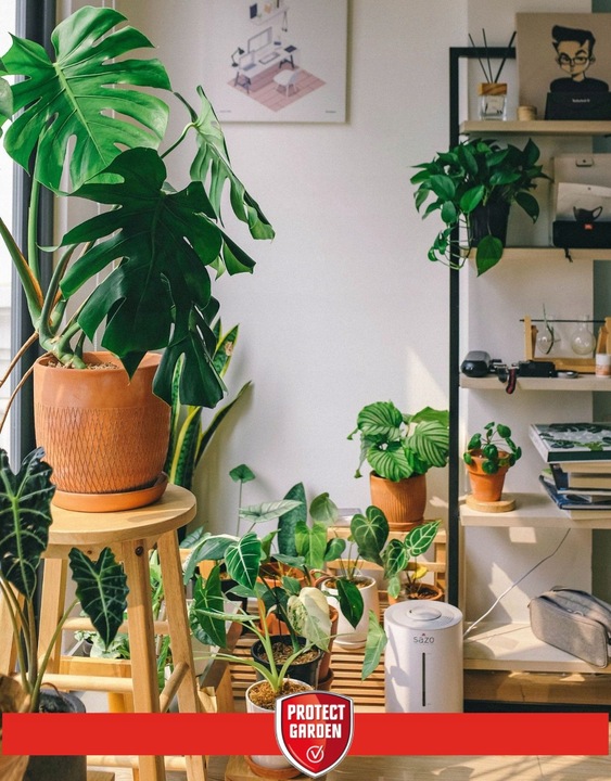 SANIUM PIN 2w1 Pałeczki Owadobójcze + Nawozowe na Ziemiórki Tarczniki