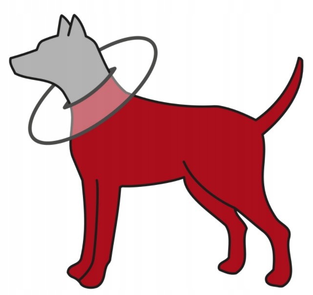 Miękki kołnierz ochronny dla psa dysk Trixie L