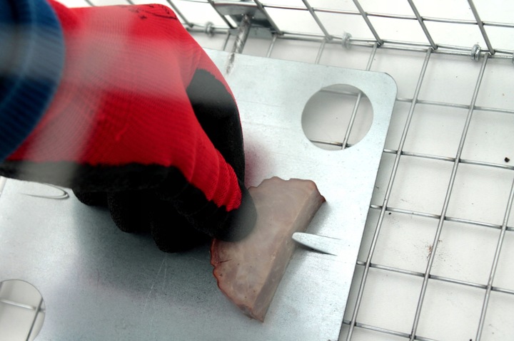 żywołapka pułapka lisy kuny wydry bobry koty skuteczna