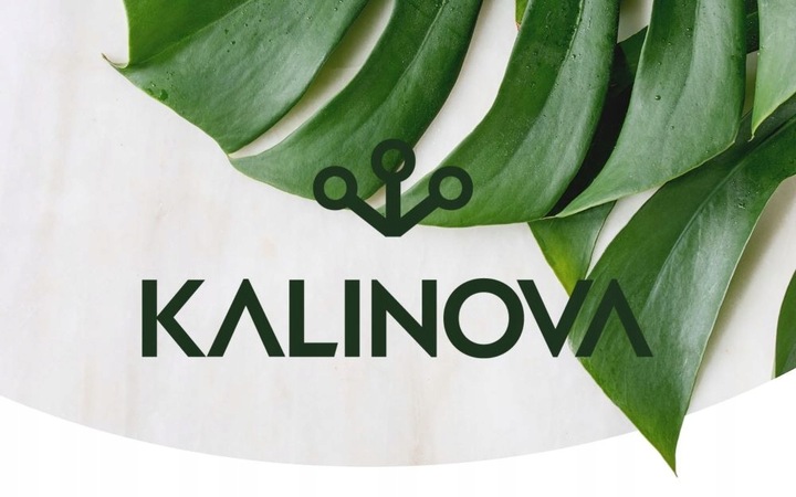 PODPORA PIERŚCIENIOWA DO ROŚLIN 75cm SZNUREK ZAPINKI DRUCIK ZESTAW