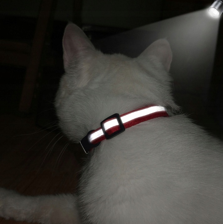 OBROŻA DLA KOTA ADRESÓWKA ODBLASKOWA INDETYFIKATOR KOT PIES + GRAWER