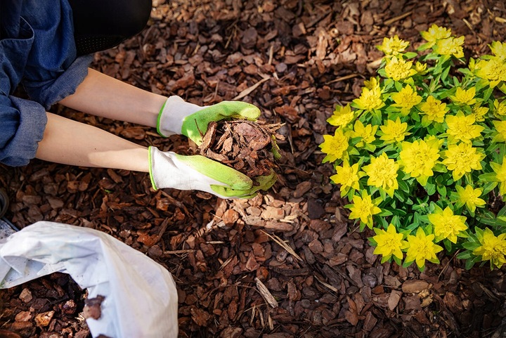KORA SOSNOWA Ogrodowa Gruba Torf Humus 80L