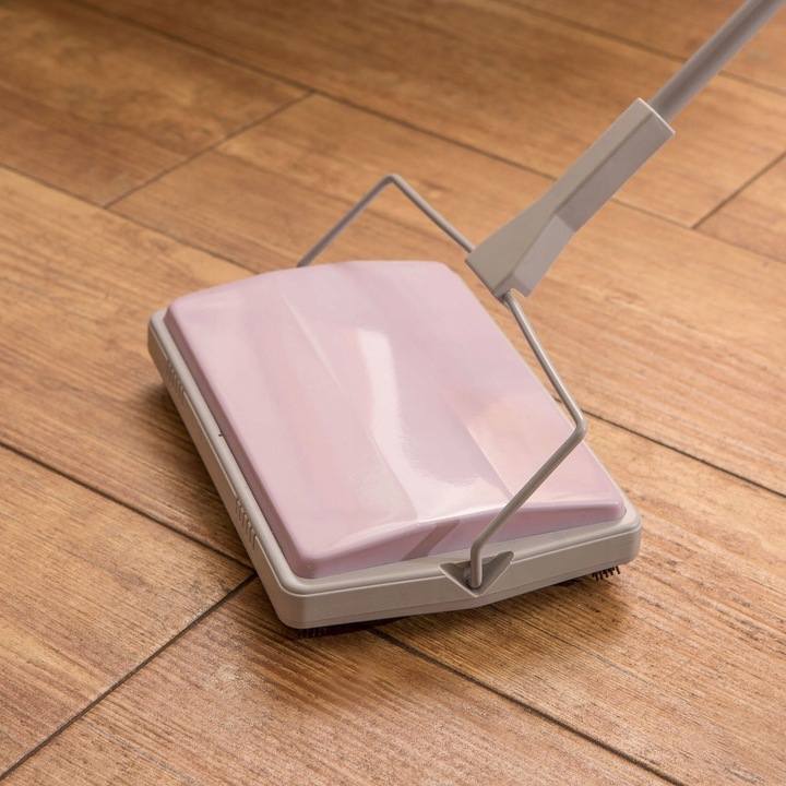 ODKURZACZ RĘCZNY MECHANICZNY SZCZOTKA KAŚKA KATIE YORK