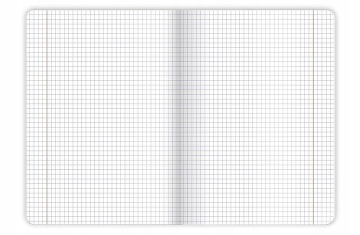 10X ZESZYT TOP 2000 A5 60 KARTEK, KRATKA +MARGINES