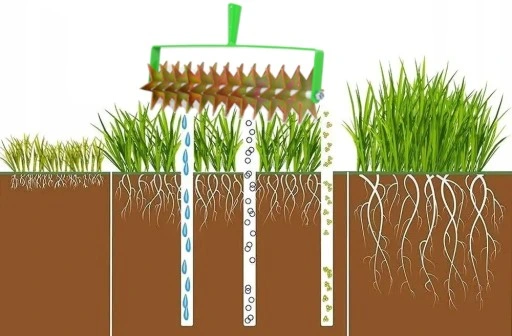 AERATOR OGRODOWY RĘCZNY SPLUCHNIACZ GLEBY DO TRAWY