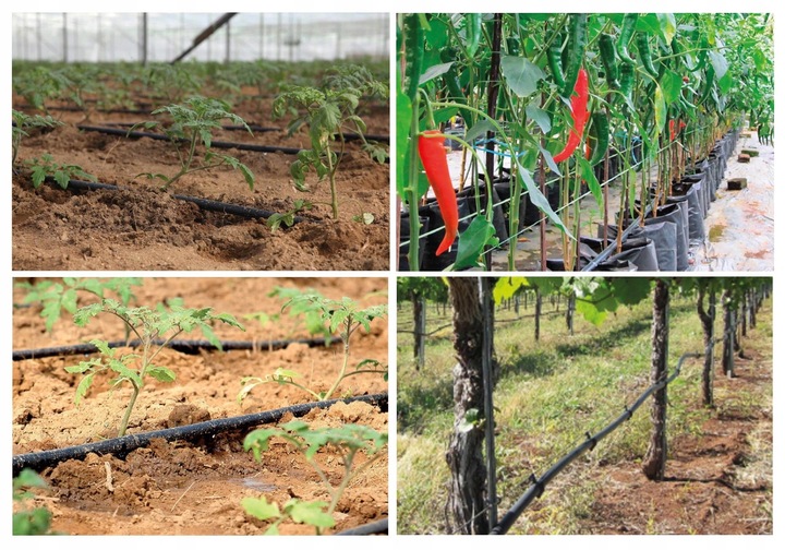 Zestaw Linia Kroplująca Bez Kompensacji 50m metrów + 87 akcesoriów Kropelka