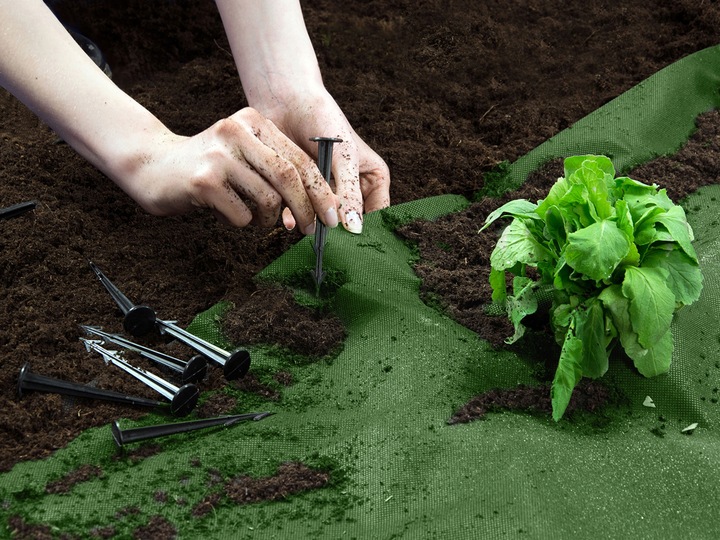 AGROWŁÓKNINA AGROTKANINA UV NA CHWASTY 1,6x100m + 100 SZPILEK