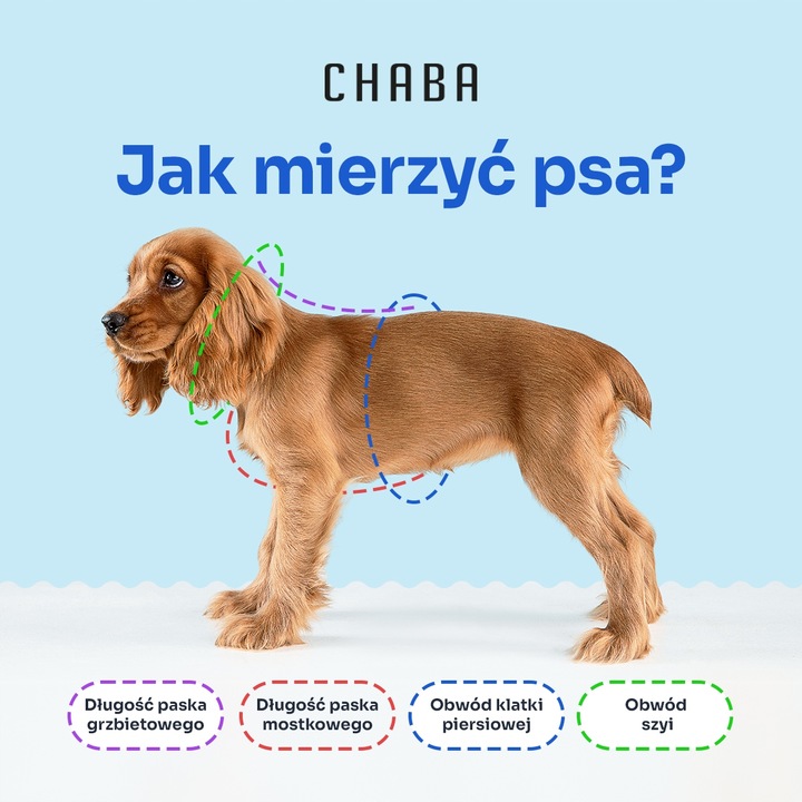 Lekkie Szelki dla Średniego Psa GUARD Bezuciskowe Regulowane Solidne r. M