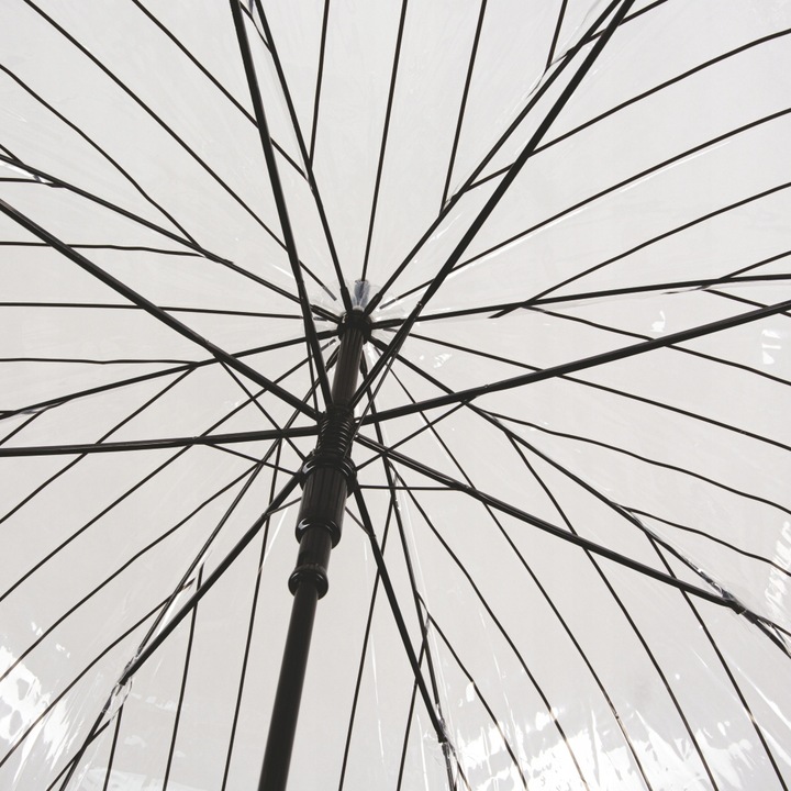 Parasol transparentny motywem kotów Captain Mike