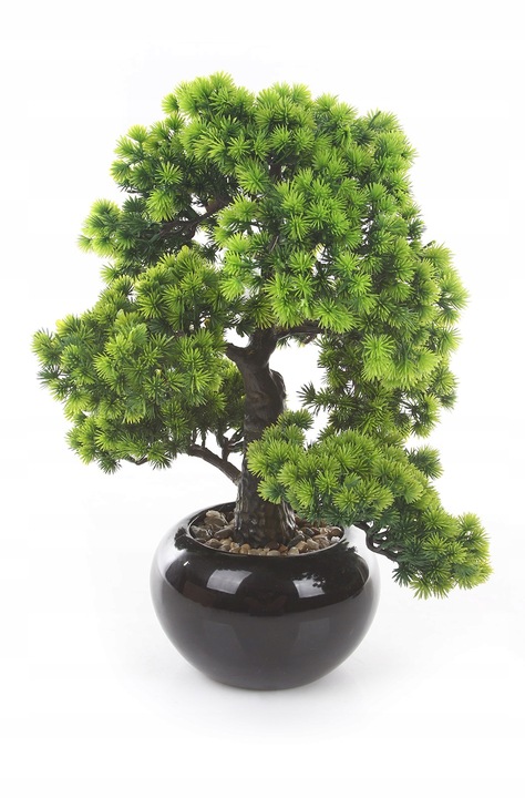 sztuczne drzewko BONSAI LARCH 48x35 modrzew w ceramicznej czarnej doniczce