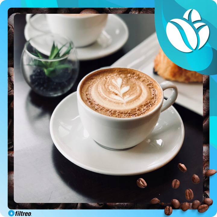 Odkamieniacz do ekspresu Philips Latte Go 250ml w PŁYNIE ORYGINALNY CA6700