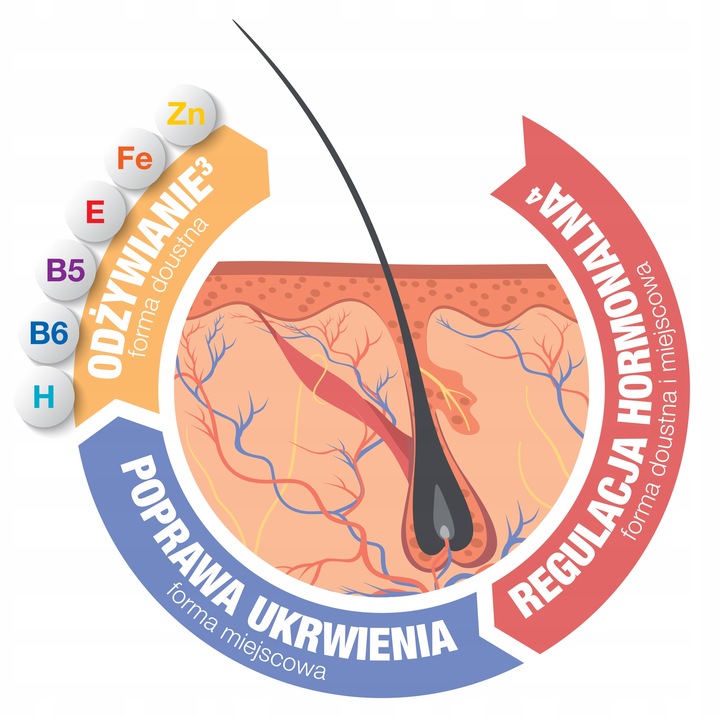 Complidermol zestaw - kapsułki + szampon TANIEJ 30 ZŁ