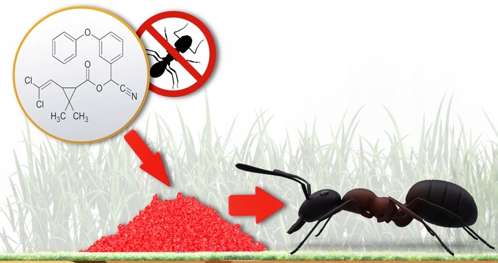 SILNY PROSZEK NA MRÓWKI W DOMU I OGRODZIE 1 KG