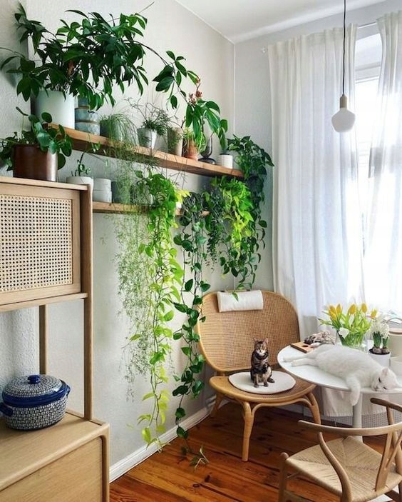 PODŁOŻE Uniwersalne z Nawozem ZIEMIA do Kwiatów 5L