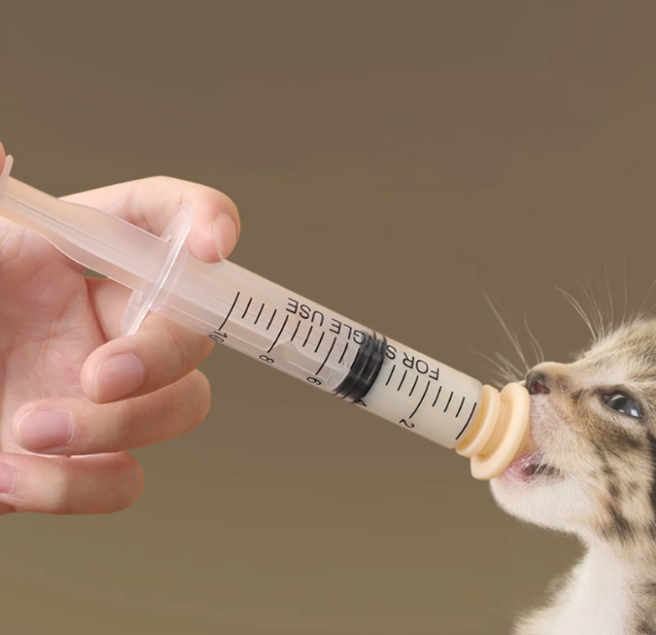 ZESTAW STRZYKAWEK DO KARMIENIA KOCIĄT SZCZENIĄT STRZYKAWKI ZE