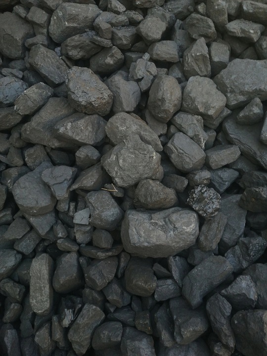 ORZECH PREMIUM WORKOWANY WĘGIEL WOREK 20 kg