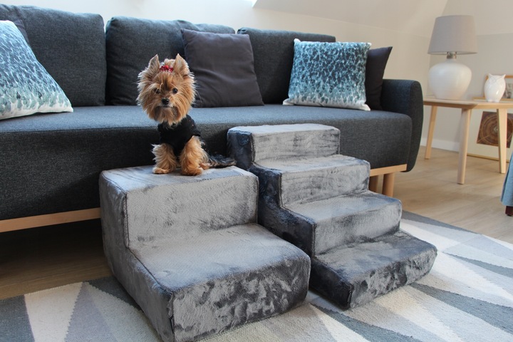 Schodki/schody dla psa