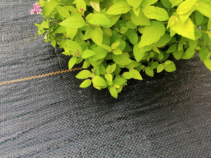 AGROTKANINA 90g 1,6x50m CZARNA AGROWŁÓKNINA UV 3% ANTYCHWASTOWA +