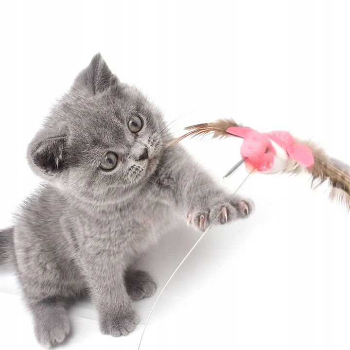 Zabawka dla kota INTERAKTYWNA ruchoma kwiat PTAK